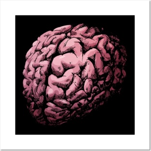 Brain Posters and Art